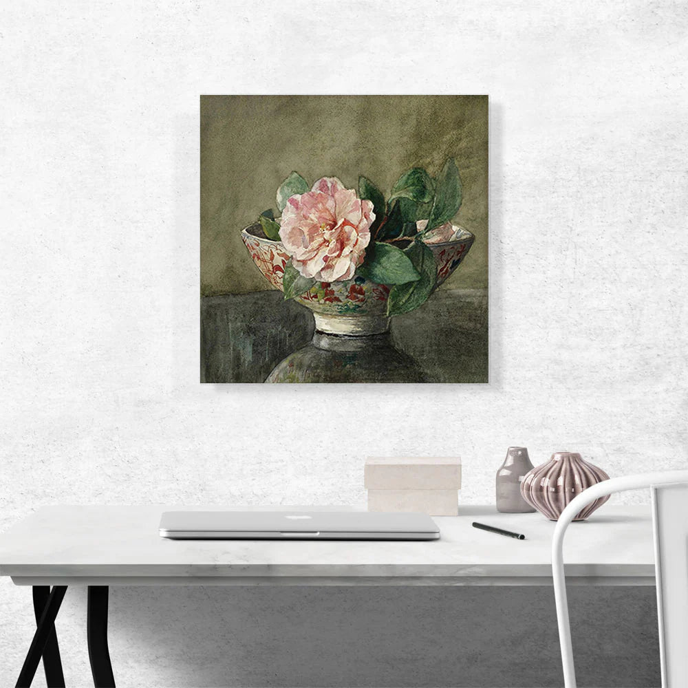 Camellia in Old Chinese Vase on Black Lacquer Table