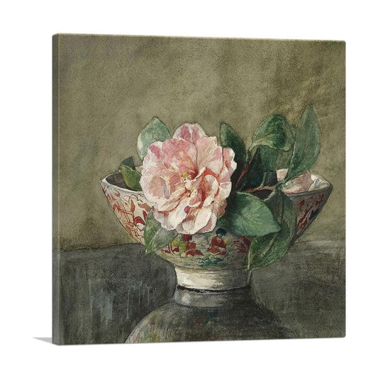 Camellia in Old Chinese Vase on Black Lacquer Table